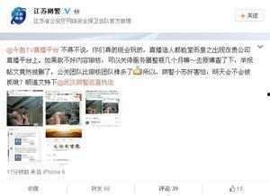 国产主播做爰直播,爰情直播的边界与反思